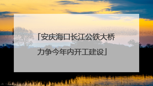 安庆海口长江公铁大桥力争今年内开工建设
