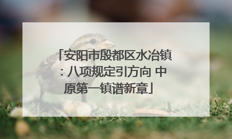 安阳市殷都区水冶镇：八项规定引方向 中原第一镇谱新章