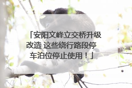 安阳文峰立交桥升级改造 这些绕行路段停车泊位停止使用！