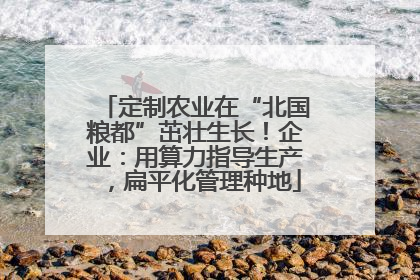 定制农业在“北国粮都”茁壮生长！企业：用算力指导生产，扁平化管理种地