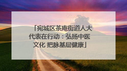 宛城区茶庵街道人大代表在行动：弘扬中医文化 把脉基层健康