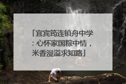 宜宾筠连镇舟中学：心怀家国粽中情，米香漫溢求知路