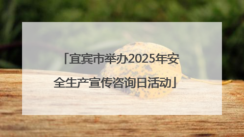 宜宾市举办2025年安全生产宣传咨询日活动