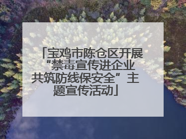 宝鸡市陈仓区开展“禁毒宣传进企业 共筑防线保安全”主题宣传活动