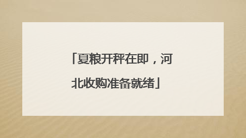 夏粮开秤在即，河北收购准备就绪