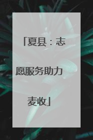 夏县：志愿服务助力麦收