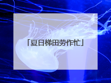 夏日梯田劳作忙