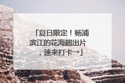 夏日限定！杨浦滨江的花海超出片，速来打卡→