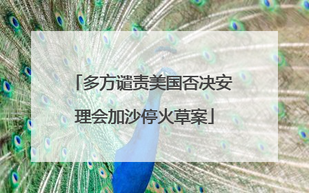 多方谴责美国否决安理会加沙停火草案