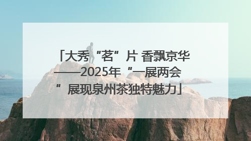 大秀“茗”片 香飘京华——2025年“一展两会”展现泉州茶独特魅力
