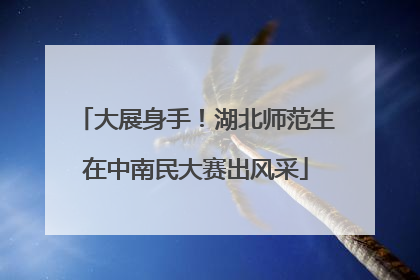 大展身手！湖北师范生在中南民大赛出风采