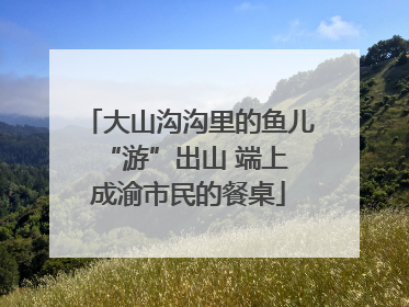 大山沟沟里的鱼儿 “游”出山 端上成渝市民的餐桌