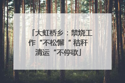 大虹桥乡：禁烧工作“不松懈“ 秸秆清运“不停歇