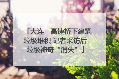 大连一高速桥下建筑垃圾堆积 记者采访后垃圾神奇“消失”