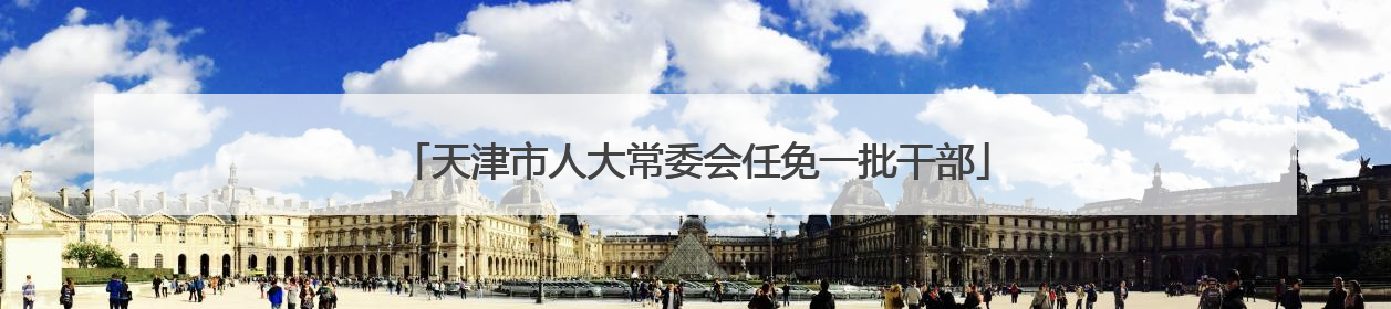 天津市人大常委会任免一批干部