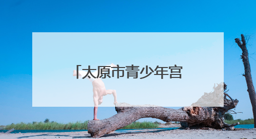 太原市青少年宫童声民歌音乐会唱响“六一”