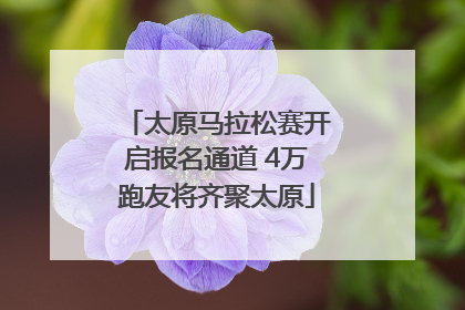 太原马拉松赛开启报名通道 4万跑友将齐聚太原