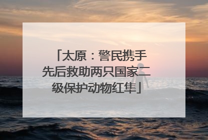 太原：警民携手 先后救助两只国家二级保护动物红隼
