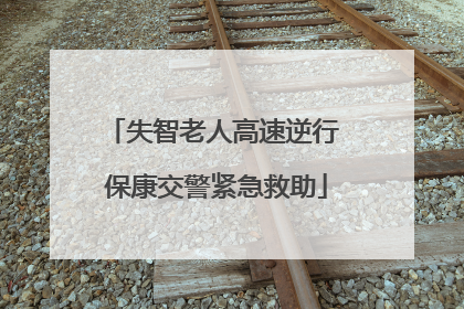失智老人高速逆行 保康交警紧急救助