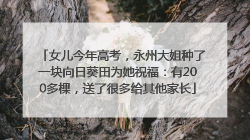女儿今年高考，永州大姐种了一块向日葵田为她祝福：有200多棵，送了很多给其他家长