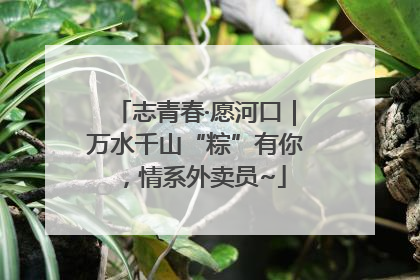 志青春·愿河口｜万水千山“粽”有你，情系外卖员~