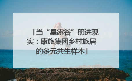 当“星露谷”照进现实：康旅集团乡村旅居的多元共生样本