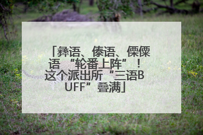 彝语、傣语、傈僳语 “轮番上阵”！这个派出所“三语BUFF”叠满