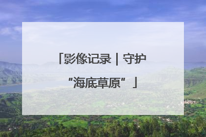 影像记录｜守护“海底草原”