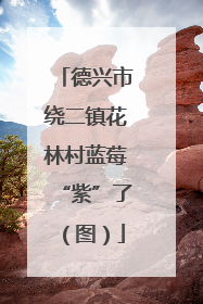 德兴市绕二镇花林村蓝莓“紫”了（图）