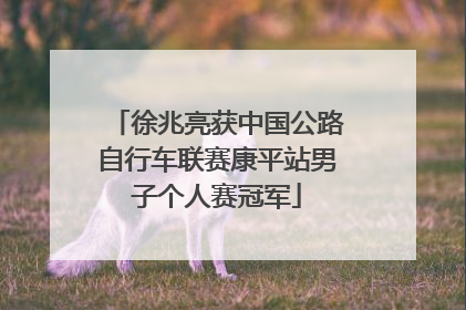徐兆亮获中国公路自行车联赛康平站男子个人赛冠军