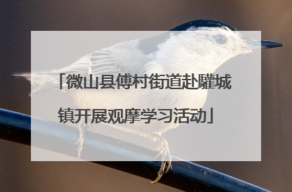 微山县傅村街道赴驩城镇开展观摩学习活动