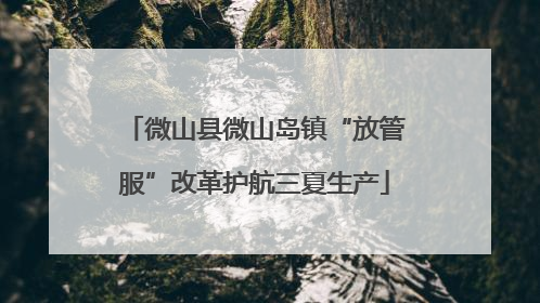 微山县微山岛镇“放管服”改革护航三夏生产