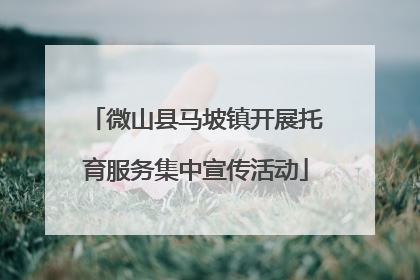 微山县马坡镇开展托育服务集中宣传活动