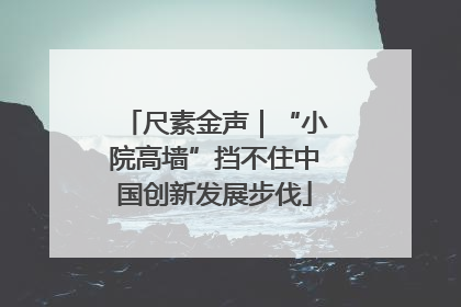 尺素金声｜“小院高墙”挡不住中国创新发展步伐