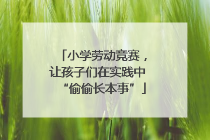 小学劳动竞赛，让孩子们在实践中“偷偷长本事”