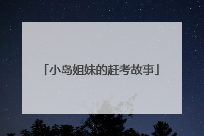 小岛姐妹的赶考故事