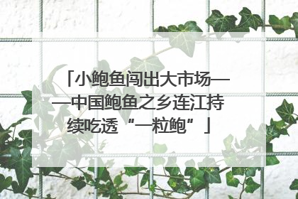 小鲍鱼闯出大市场——中国鲍鱼之乡连江持续吃透“一粒鲍”