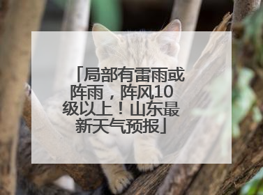 局部有雷雨或阵雨，阵风10级以上！山东最新天气预报