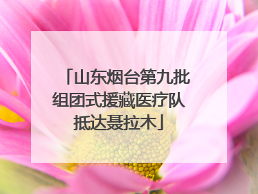 山东烟台第九批组团式援藏医疗队抵达聂拉木