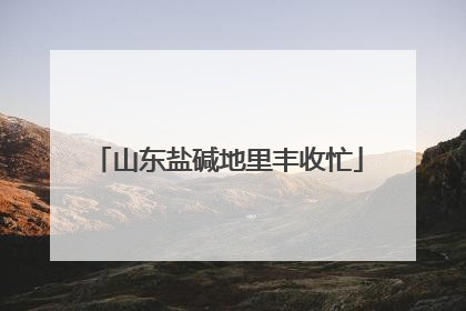 山东盐碱地里丰收忙