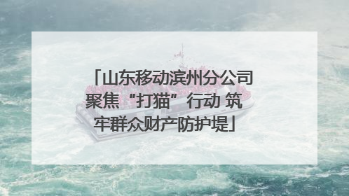 山东移动滨州分公司聚焦“打猫”行动 筑牢群众财产防护堤