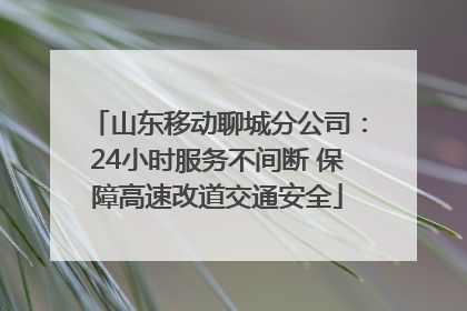 山东移动聊城分公司：24小时服务不间断 保障高速改道交通安全