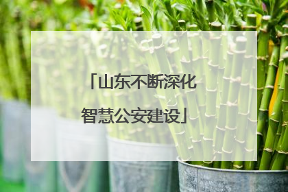 山东不断深化智慧公安建设