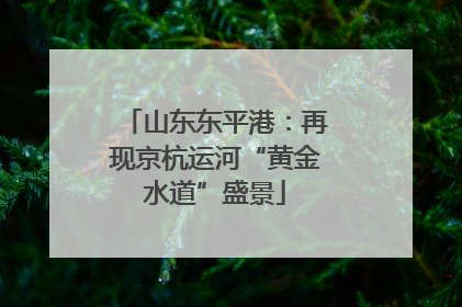 山东东平港：再现京杭运河“黄金水道”盛景