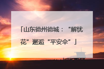 山东德州德城：“解忧花”邂逅“平安伞”