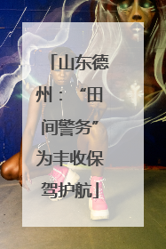山东德州：“田间警务”为丰收保驾护航