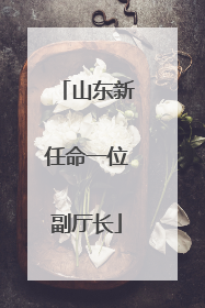 山东新任命一位副厅长