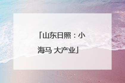 山东日照：小海马 大产业