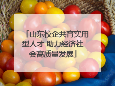 山东校企共育实用型人才 助力经济社会高质量发展