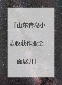山东青岛小麦收获作业全面展开